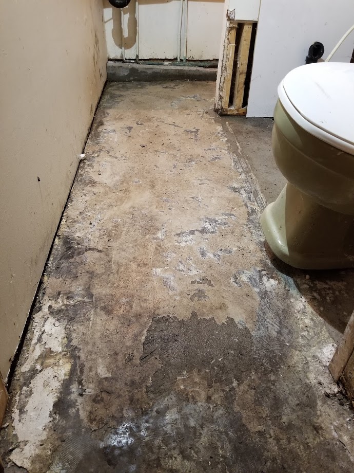 wate damage and mold in bathroom